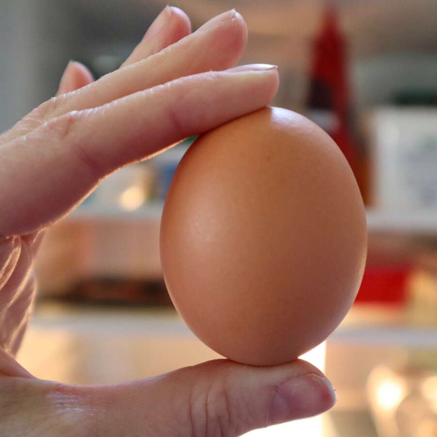 როგორ შევამოწმოთ კვერცხის ხარისხი და ვარგისიანობა: 4 მეთოდი...